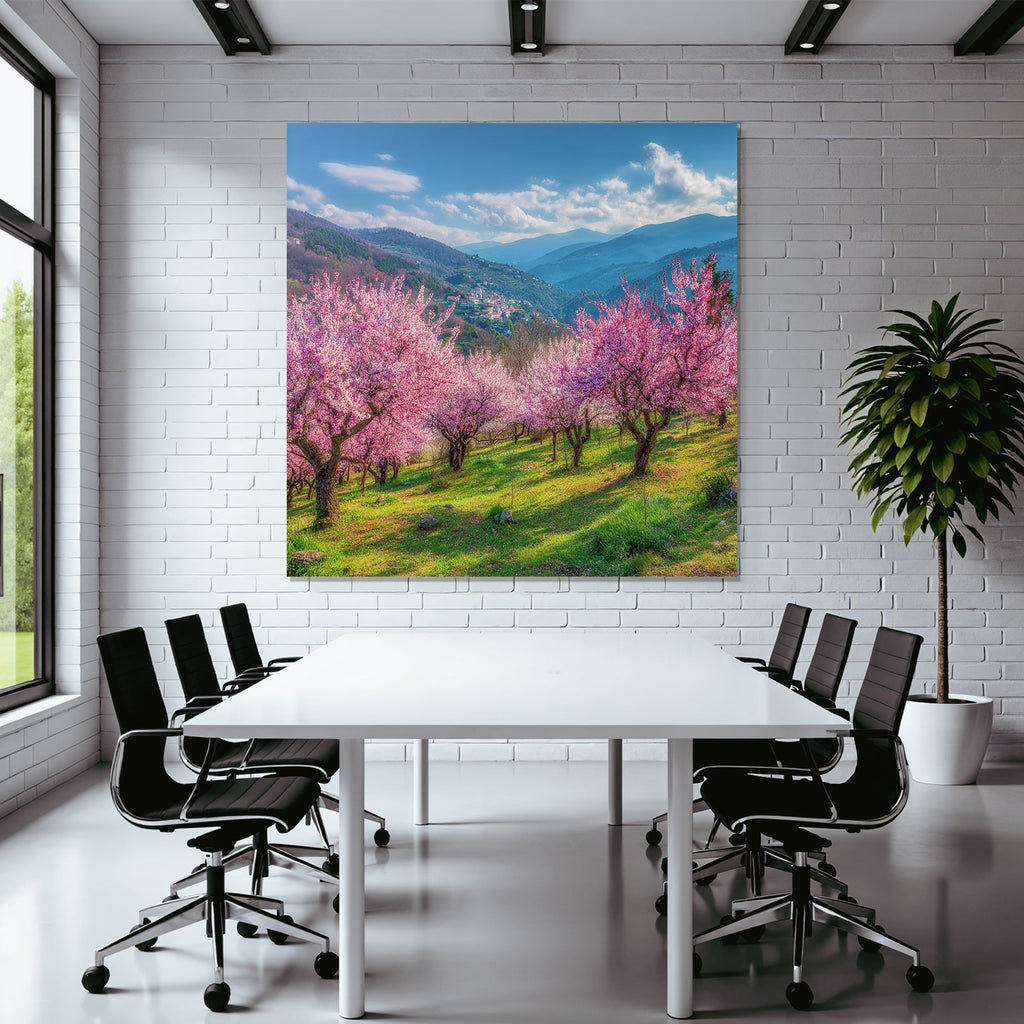 Blühende Kirschblüten Landschaft Im Feld Hügel Und Berge