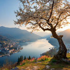Blühender Baum Ruhiger Fluss Mit Bergen Sonnenuntergang Stadt Ansicht | Fruehling | Jahreszeiten