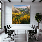 Blumenlandschaft Sommer Blaür Himmel Weisse Und Gelbe Blumen
