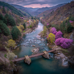 Friedliche Landschaft Fluss Brücke Bäume Blühend Spring Himmel Sanft | Fruehling | Jahreszeiten
