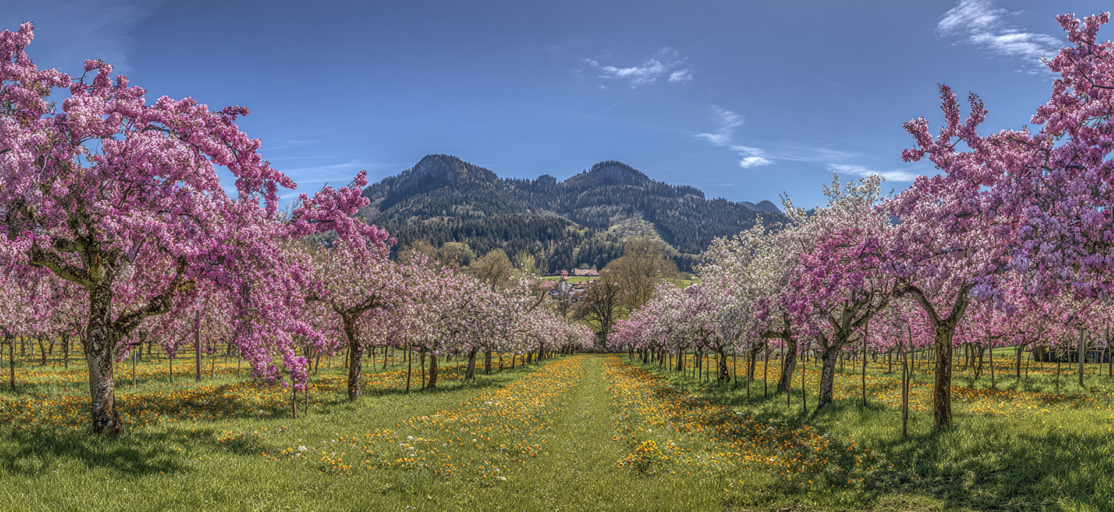Blühende Bäume Berglandschaft Frühling | Fruehling | Jahreszeiten