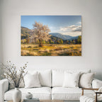 Flowering Tree In Field Surrounded By Hills And Mountains Scenes