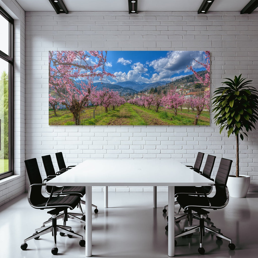 Bluhende Obstbäume Mit Himmel Und Bergen