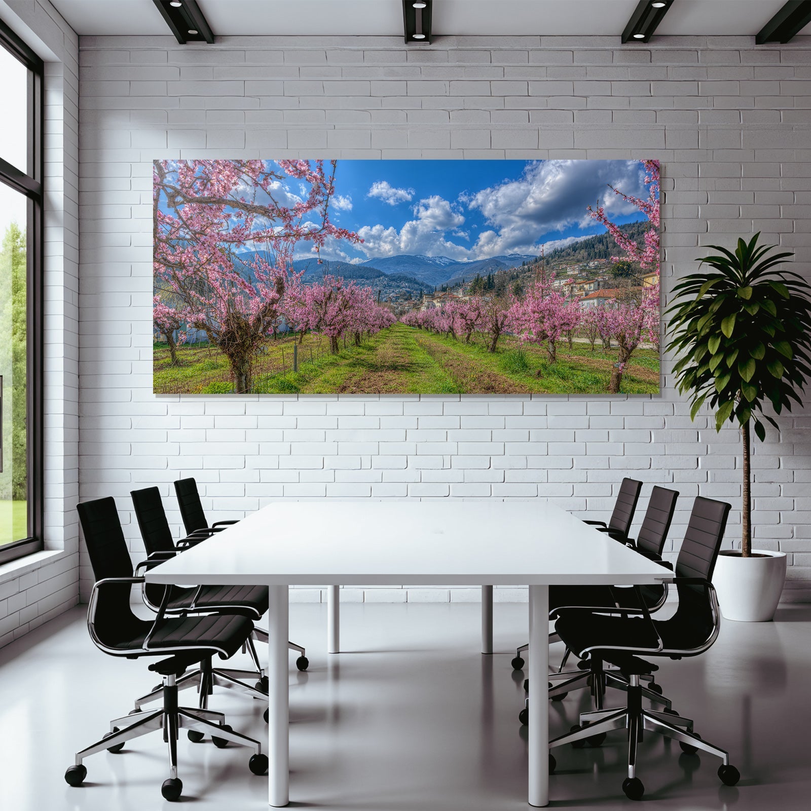 Bluhende Obstbäume Mit Himmel Und Bergen