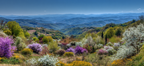 Landschaft Blünde Pflanzen Und Bäume Klare Himmel | Fruehling | Jahreszeiten
