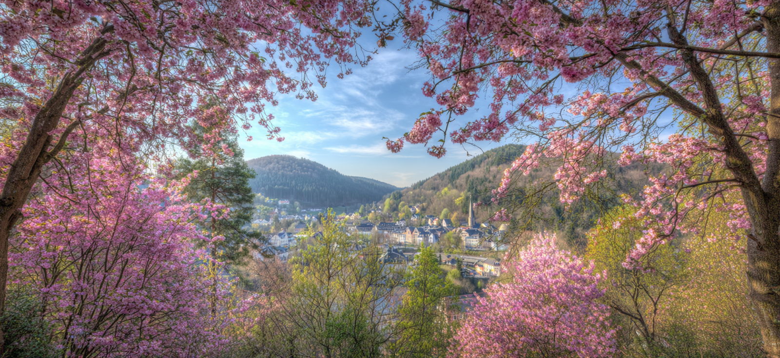 Landschaft Mit Rosafliederblütern Und Höfen | Fruehling | Jahreszeiten