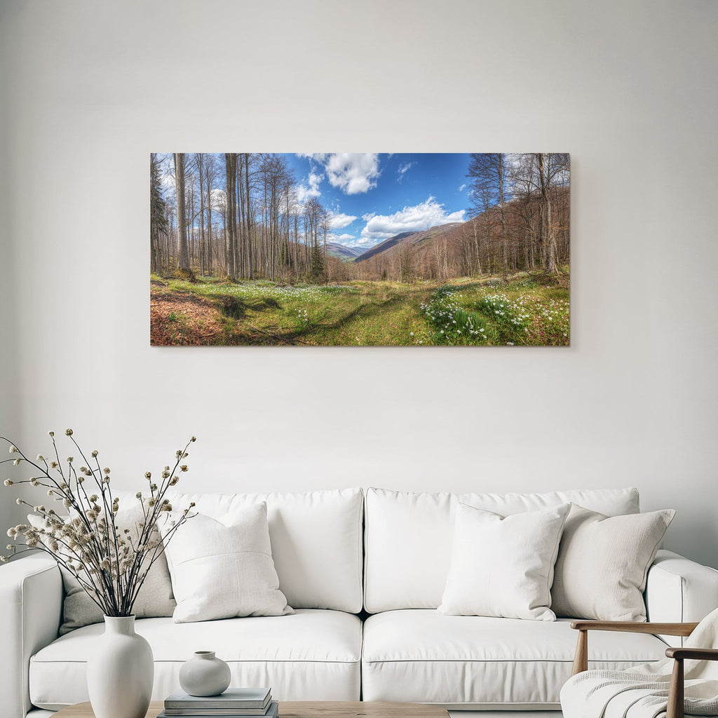 Panoramablick Auf Waldlandschaft Mit Himmel Und Blumen