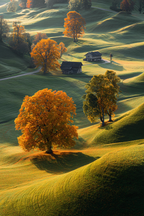 Ruhige Landschaft Baum Holzhaus Rolling Hills | Herbst | Jahreszeiten