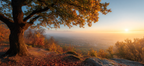 Landschaft Mit Baum Im Sonnenuntergang Valley Mountains Misty Horizon | Herbst | Jahreszeiten