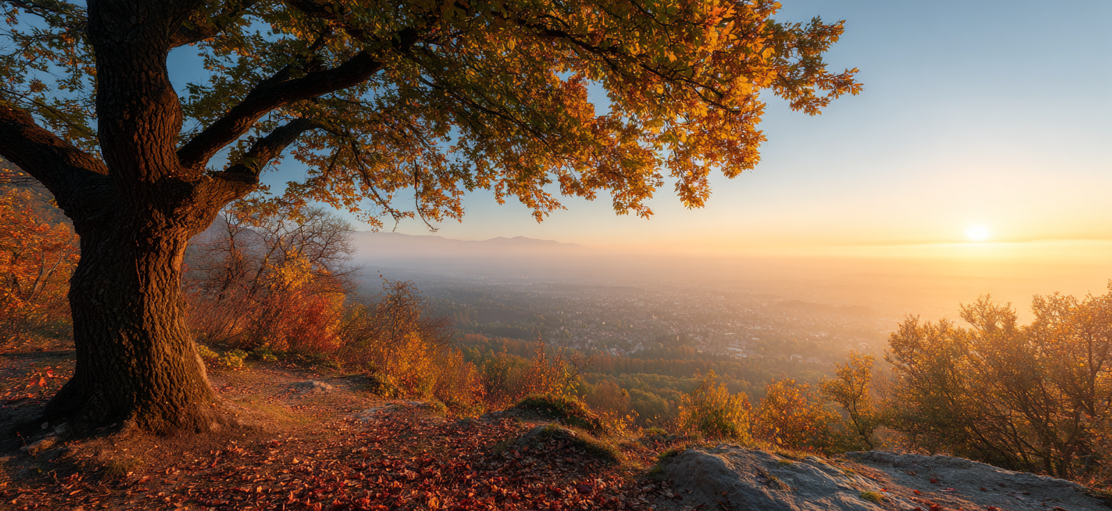 Landschaft Mit Baum Im Sonnenuntergang Valley Mountains Misty Horizon | Herbst | Jahreszeiten