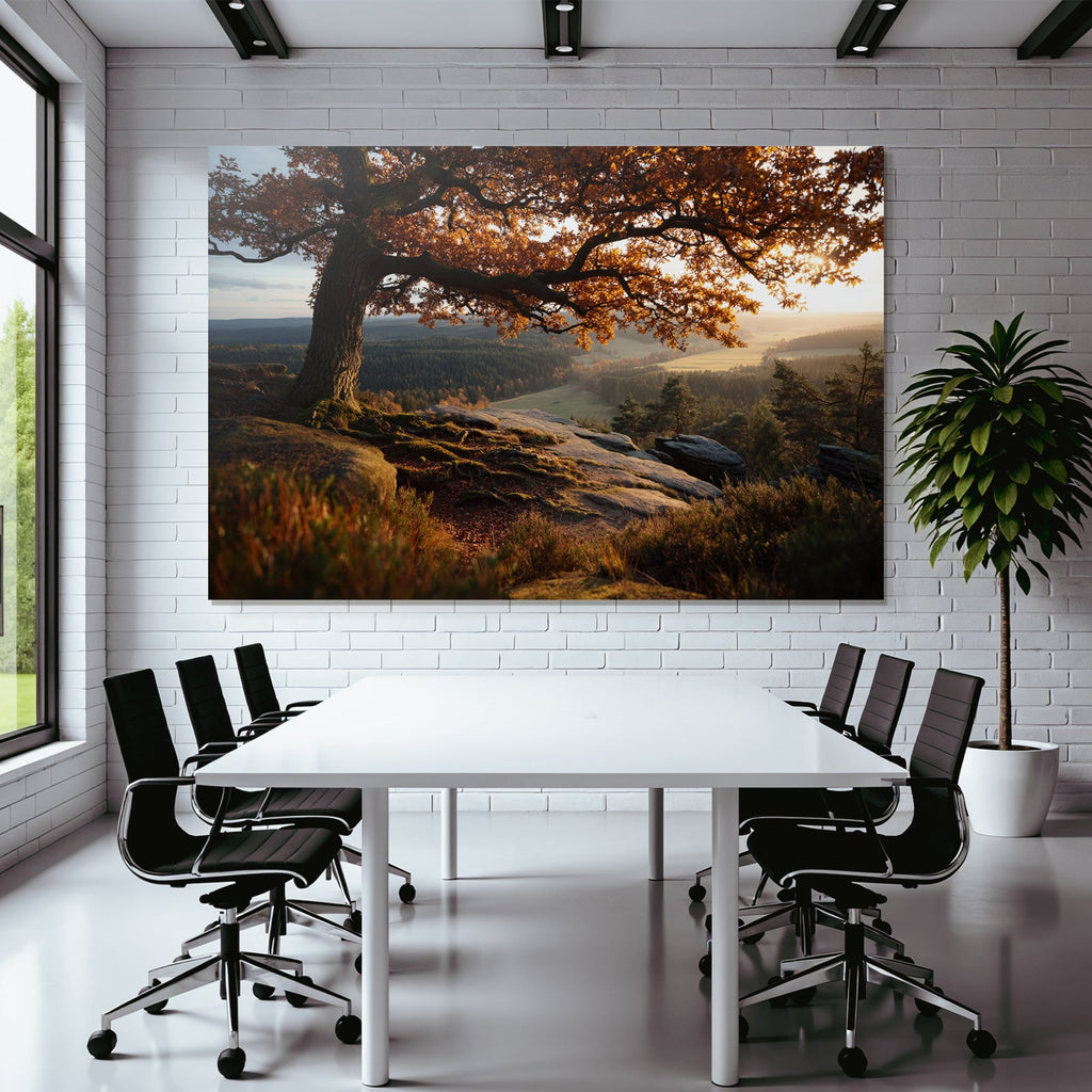 Landschaft Mit Baum Und Hügel Sonnenaufgang Oder Sonnenuntergang