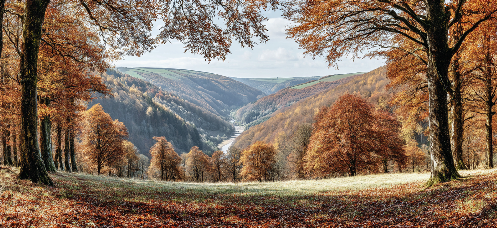 Liche Talansicht Mit Fluss Und Bäumen | Herbst | Jahreszeiten