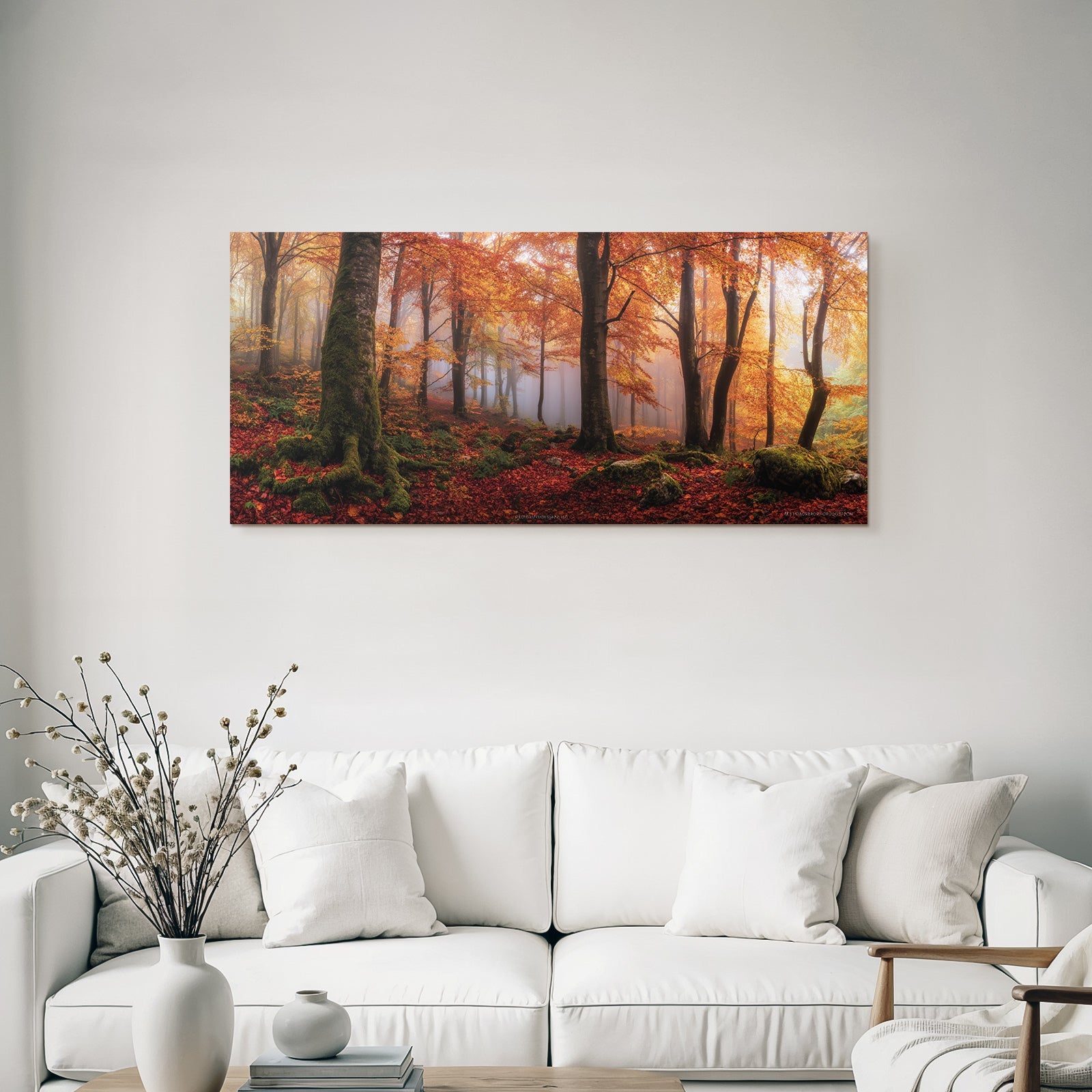 Licher Wald Mit Nebel Buntes Laub Und Ruhensatmosphäre