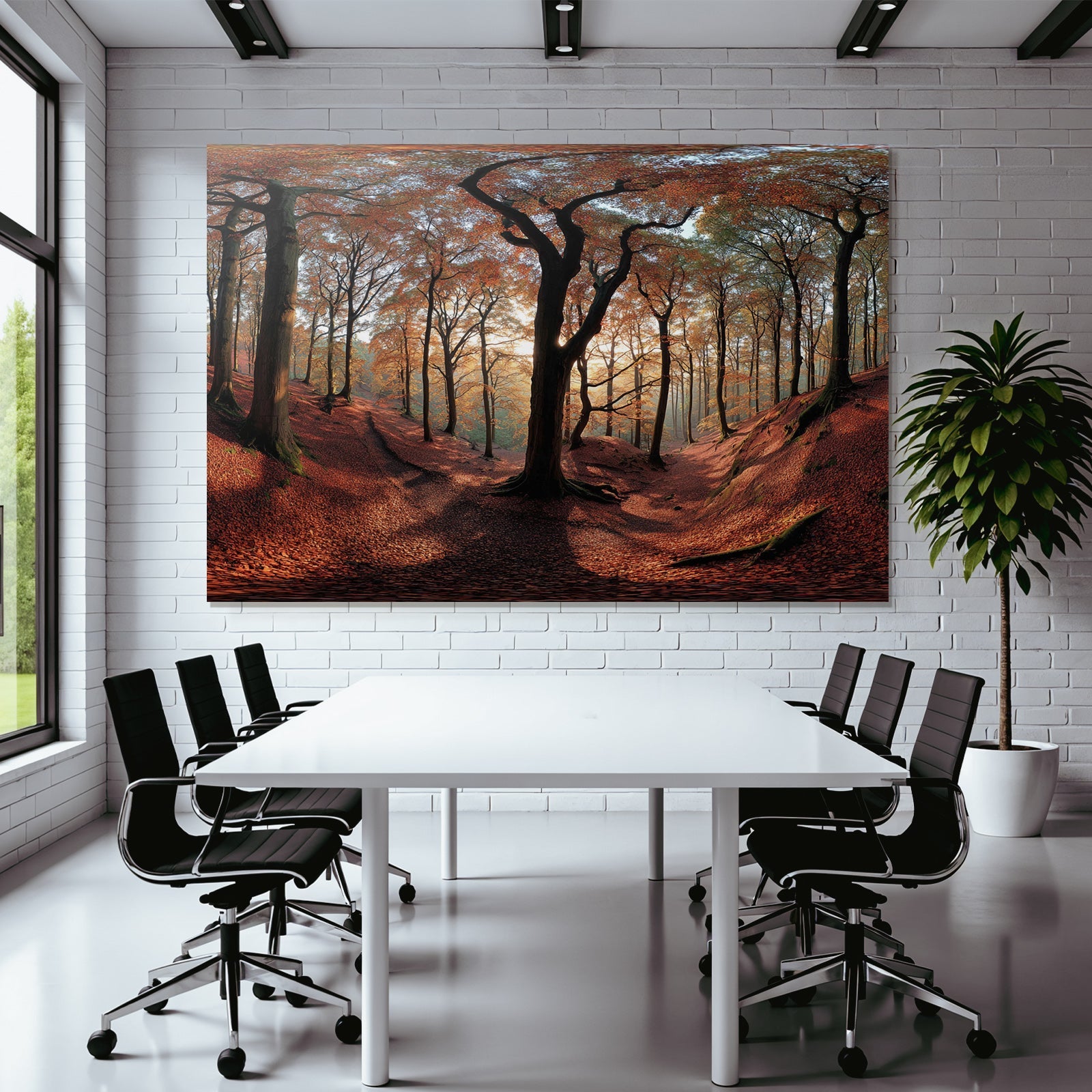 Licher Wald Mit Orangen Roten Näcken Und Lichtspiel