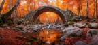 Steinbrücke Im Wald Mit Strom | Herbst | Jahreszeiten