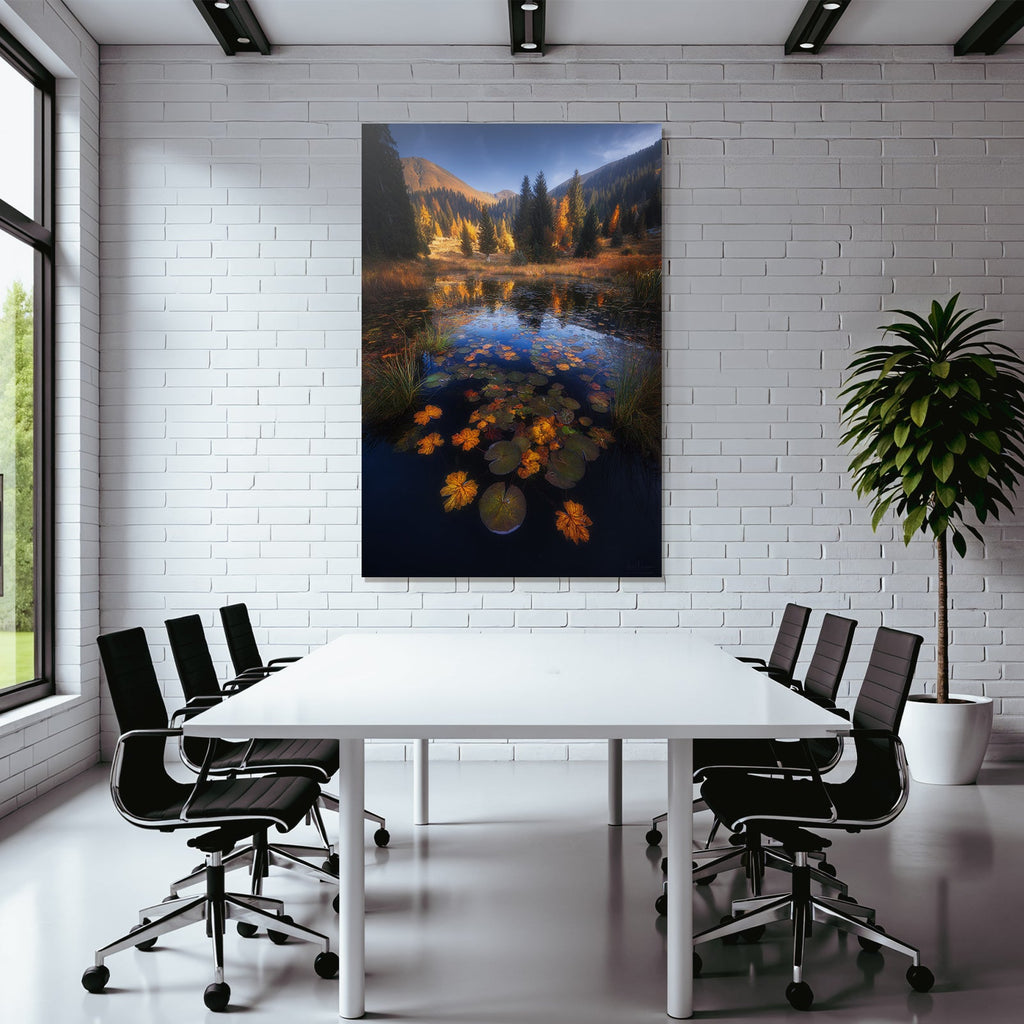 Ruhige Natur Landschaft Herbstblick Mit See Und Baumfarben