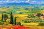 Tuscany Landscape Mit Rollenden Hügeln Und Blumen | Sommer | Jahreszeiten