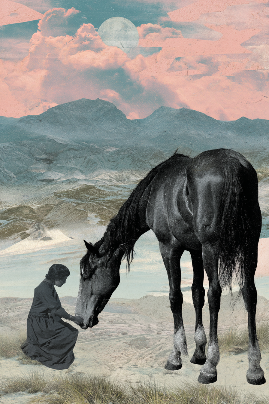Pferd Und Maedchen Im Landscape Mit Mond Und Bunten Himmel | Collagen | Kunstgattungen