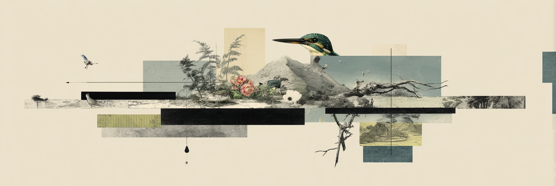 Digital Collage Natur Abstraktion Landschaft Fauna | Collagen | Kunstgattungen