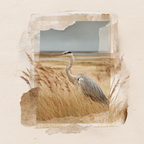 Heron In Grass Naturlandschaft Kunst Stil | Collagen | Kunstgattungen