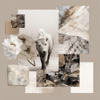 Junge Kueh Collage Mit Fakten Texturen Und Blumen Elementen | Collagen | Kunstgattungen
