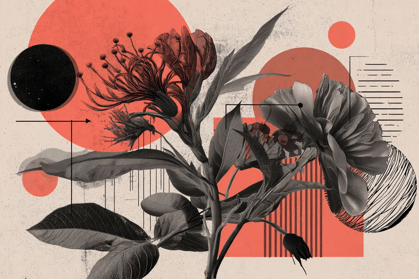 Florale Abstrakte Illustration Mit Geometrischen Formen Rot Grau Schwarz | Collagen | Kunstgattungen