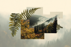 Natur Collage Beruhigende Landschaft Mit Baeumen Nebel Und Farnen | Collagen | Kunstgattungen