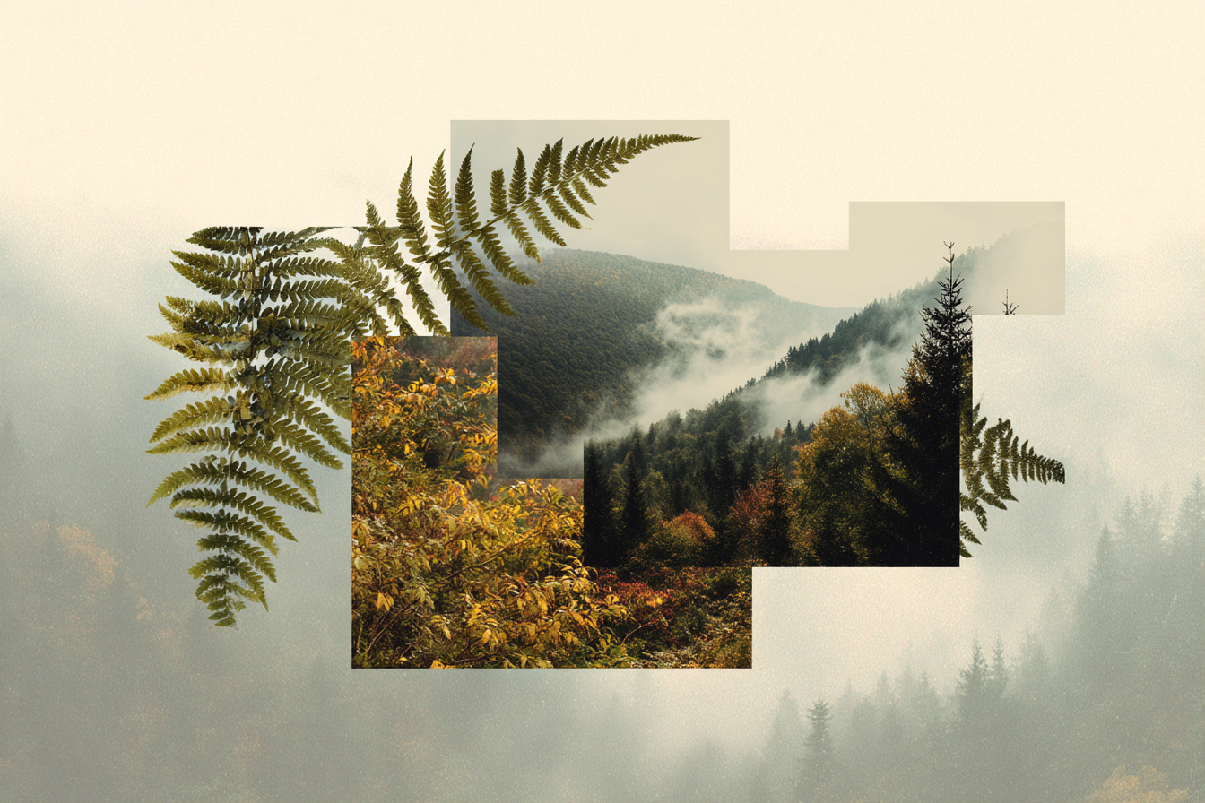 Natur Collage Beruhigende Landschaft Mit Baeumen Nebel Und Farnen | Collagen | Kunstgattungen