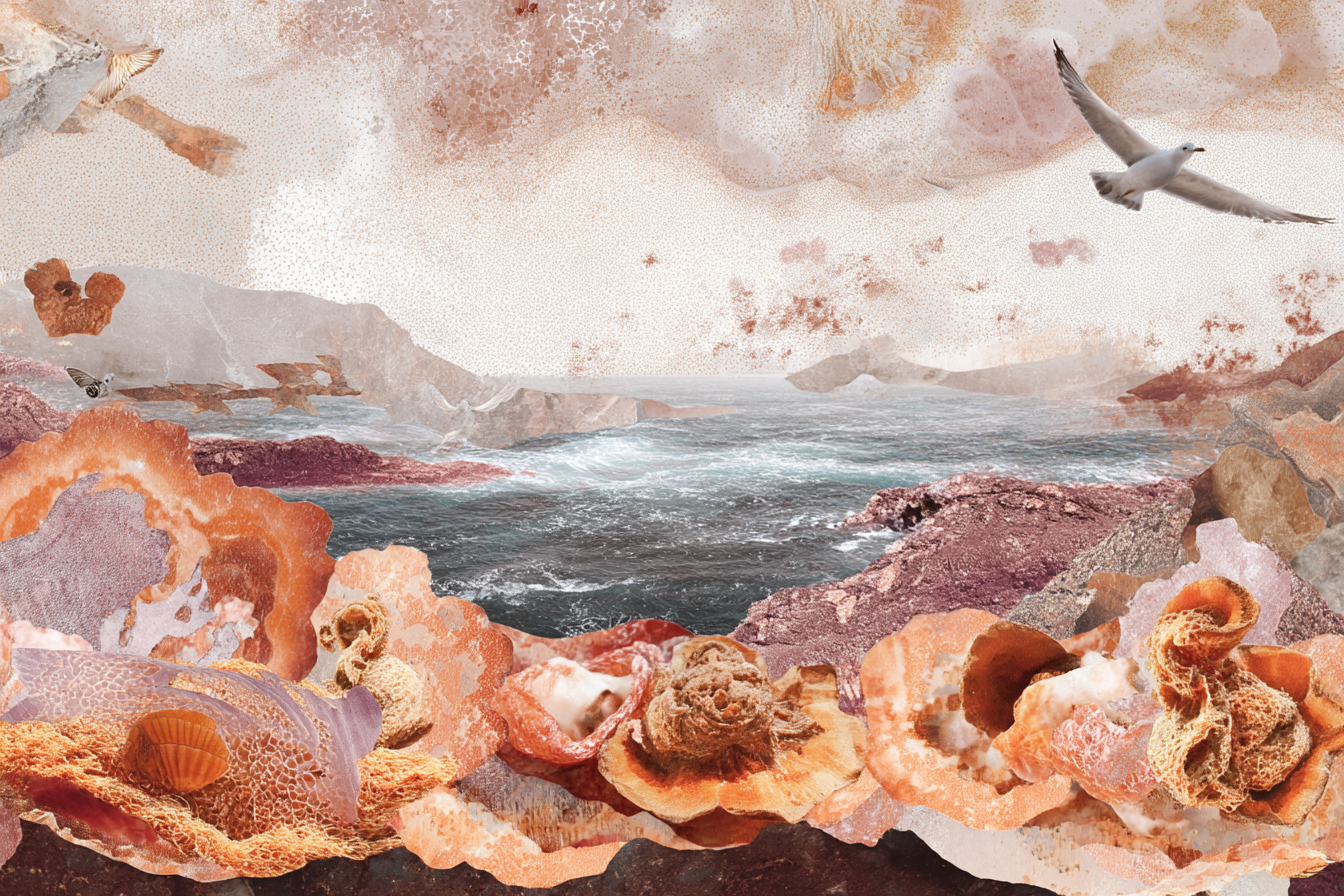 Natur Collage Kuestenlandschaft Gebrochene Wellen Schalen Coral Texturen | Collagen | Kunstgattungen