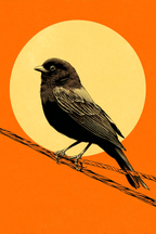 Vogel Sitzt Auf Draht Mit Orangenem Hintergrund Und Gelber Sonne | Digital Art | Kunstgattungen