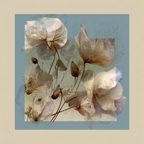 Zarte Flora Mit Transparenten Blueten Vor Hintergrund Gradienten | Digital Art | Kunstgattungen