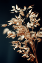 Goldene Grass Auf Dunkelblau Hochformat | Fotografie | Kunstgattungen