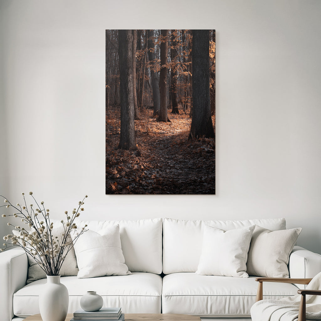 Herbstwald Mit Baumen Und Blattern