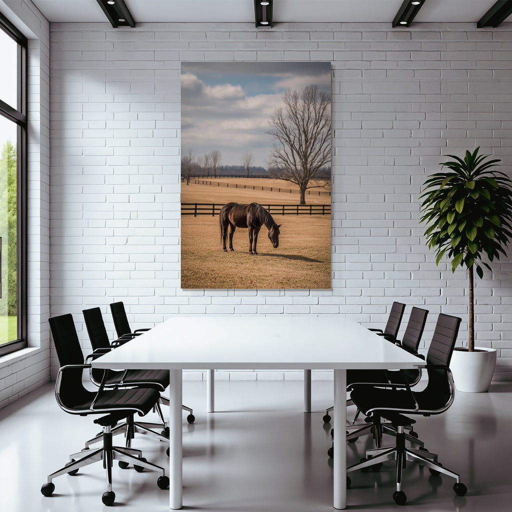 Ruhiges Pferd Auf Weide Unter Wolkenhimmel