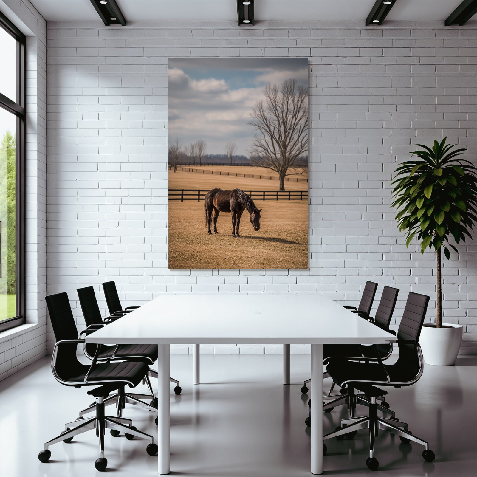 Ruhiges Pferd Auf Weide Unter Wolkenhimmel