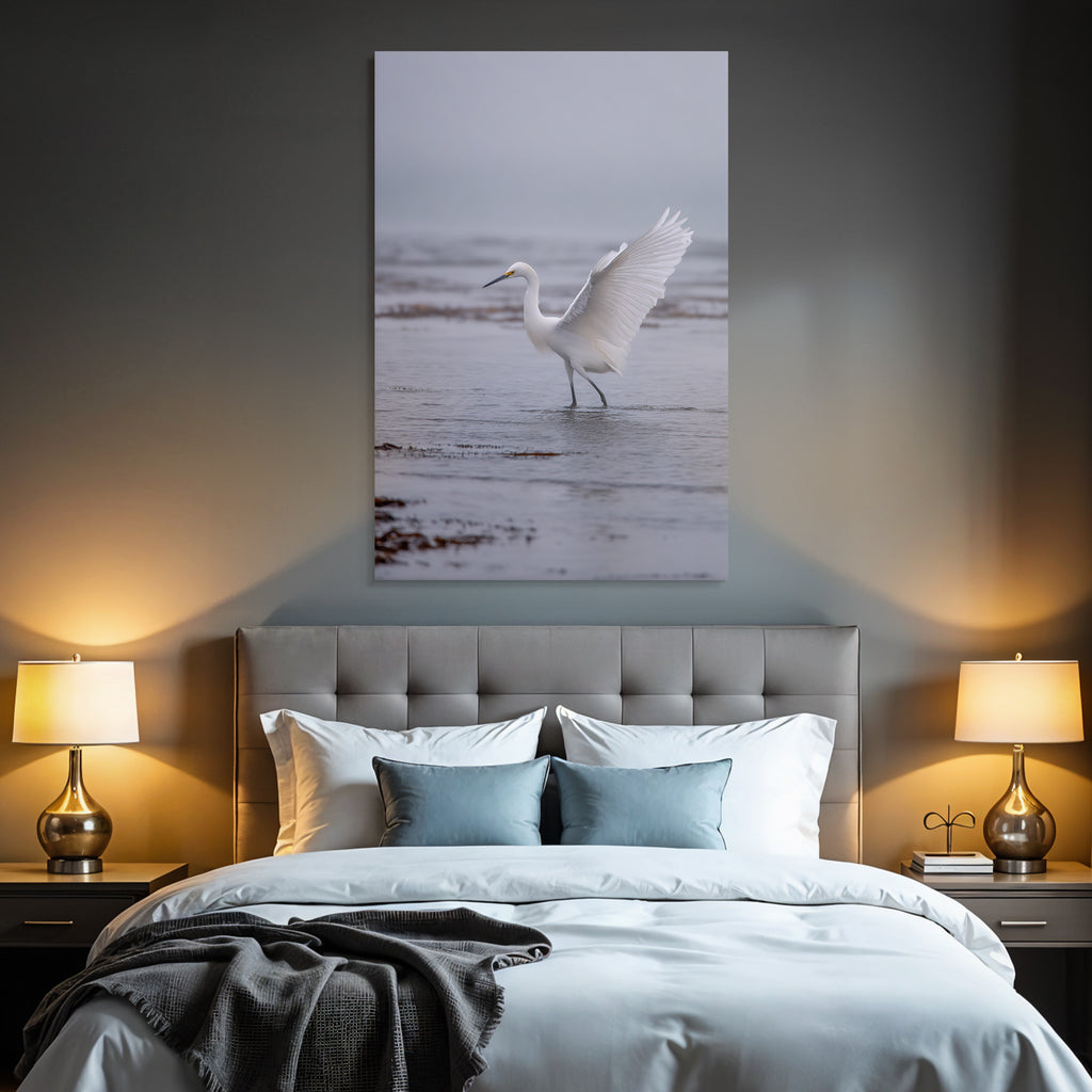 Weisses Vogel Im Seichtem Wasser Egret Mistige Atmosphaere