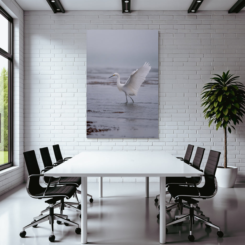 Weisses Vogel Im Seichtem Wasser Egret Mistige Atmosphaere
