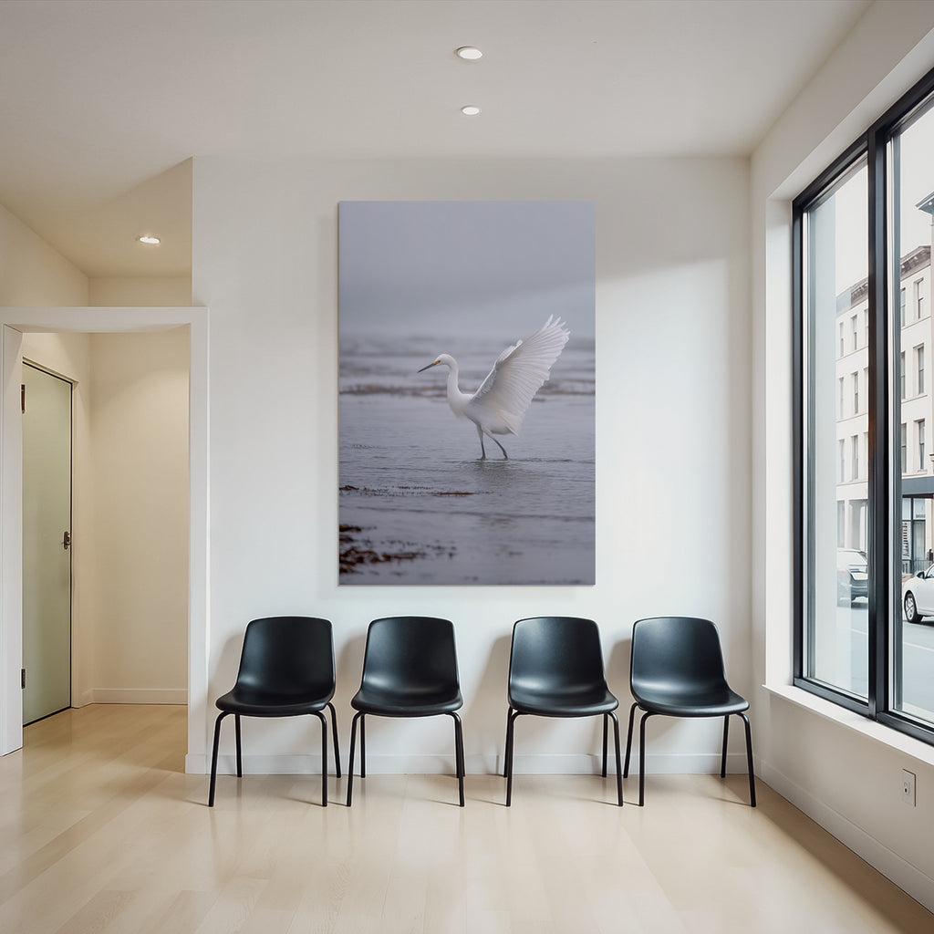 Weisses Vogel Im Seichtem Wasser Egret Mistige Atmosphaere