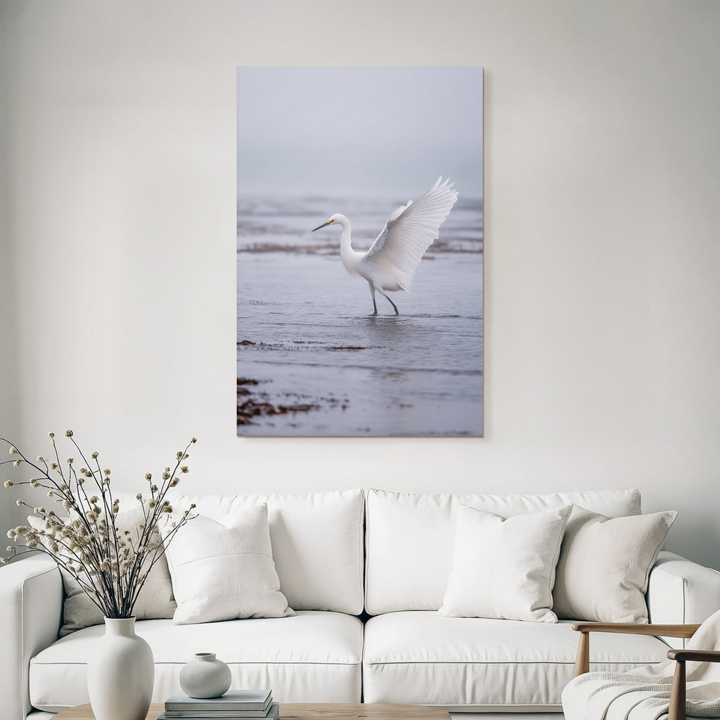 Weisses Vogel Im Seichtem Wasser Egret Mistige Atmosphaere