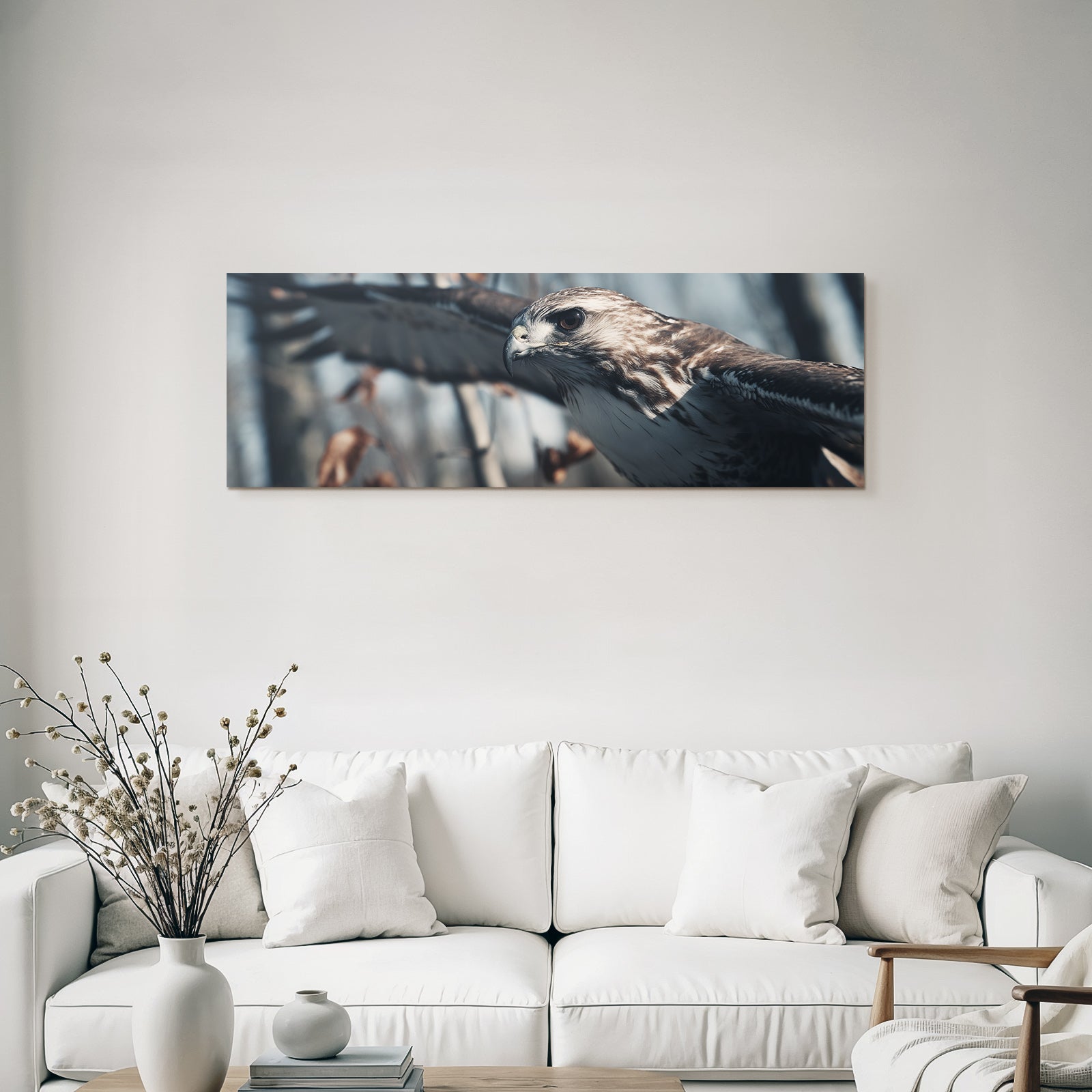 Hawk Im Natur