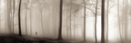 Nebeliger Wald Mit Figur | Fotografie | Kunstgattungen