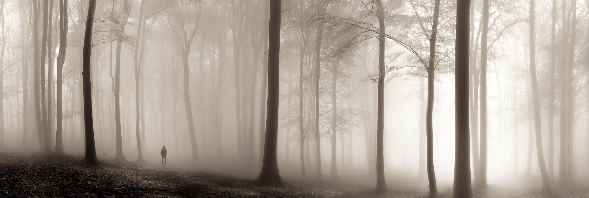 Nebeliger Wald Mit Figur | Fotografie | Kunstgattungen