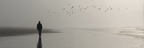 Person Am Strand Mit Voegeln Im Nebel | Fotografie | Kunstgattungen