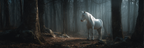 Pferd Weiß Im Wald | Fotografie | Kunstgattungen