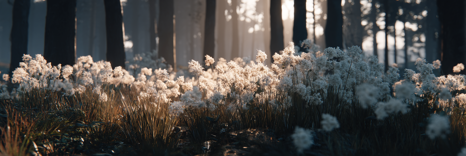 Ruhiger Wald Mit Blumen | Fotografie | Kunstgattungen