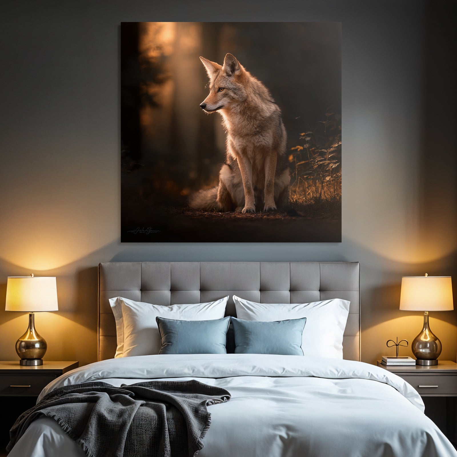 Coyote Wald Sanft Licht