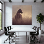 Pferd Feld Traum