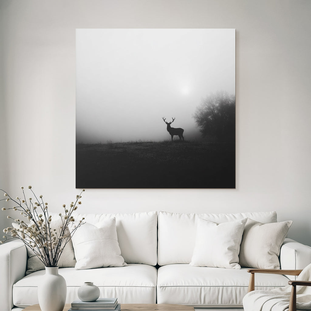 Reh Nebel Landschaft