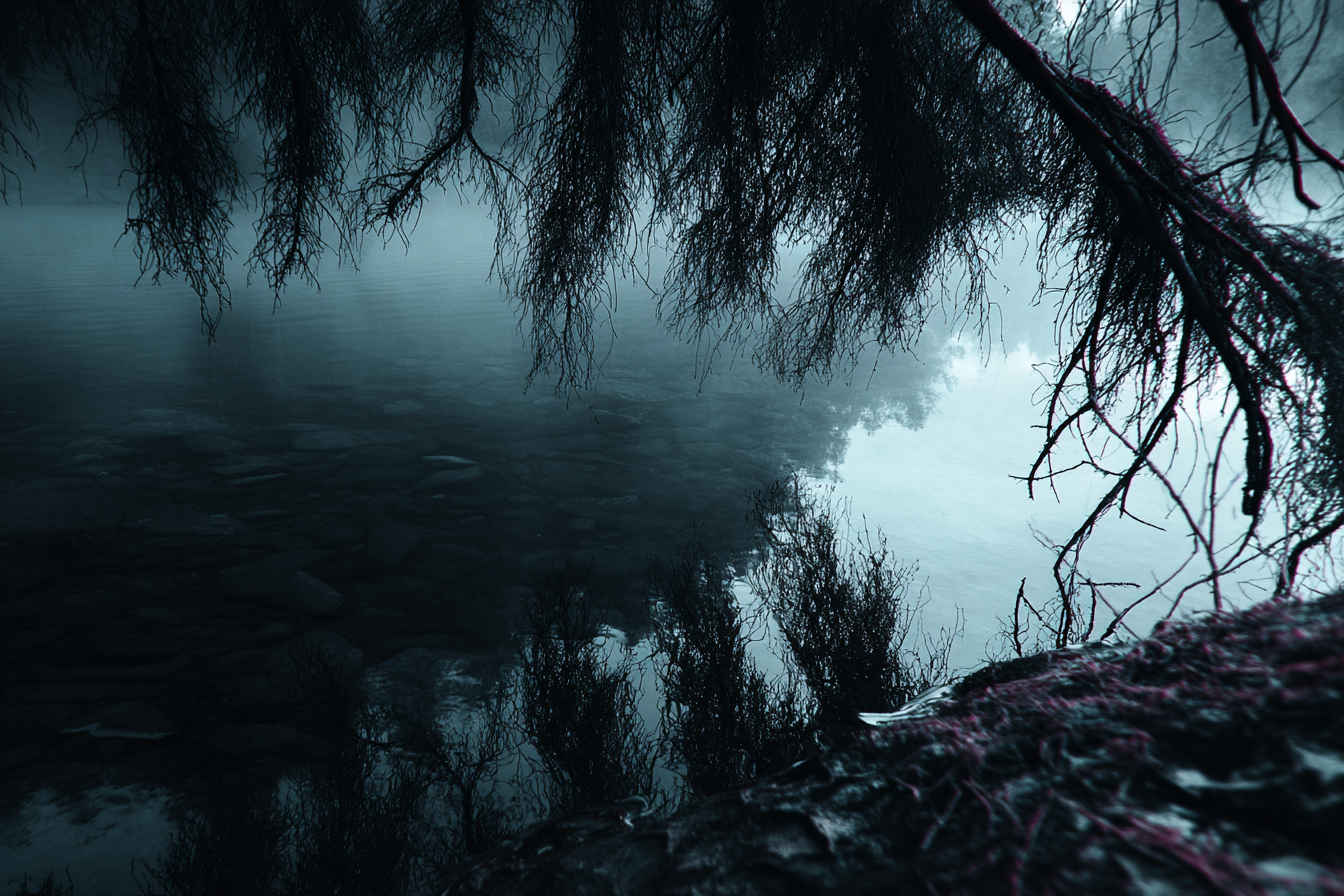 Dunkle Moody Landschaft Waßer Äste Spiegelung | Fotografie | Kunstgattungen