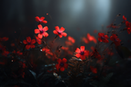 Rote Blumen Nahaufnahme Dunkel Umgebung | Fotografie | Kunstgattungen